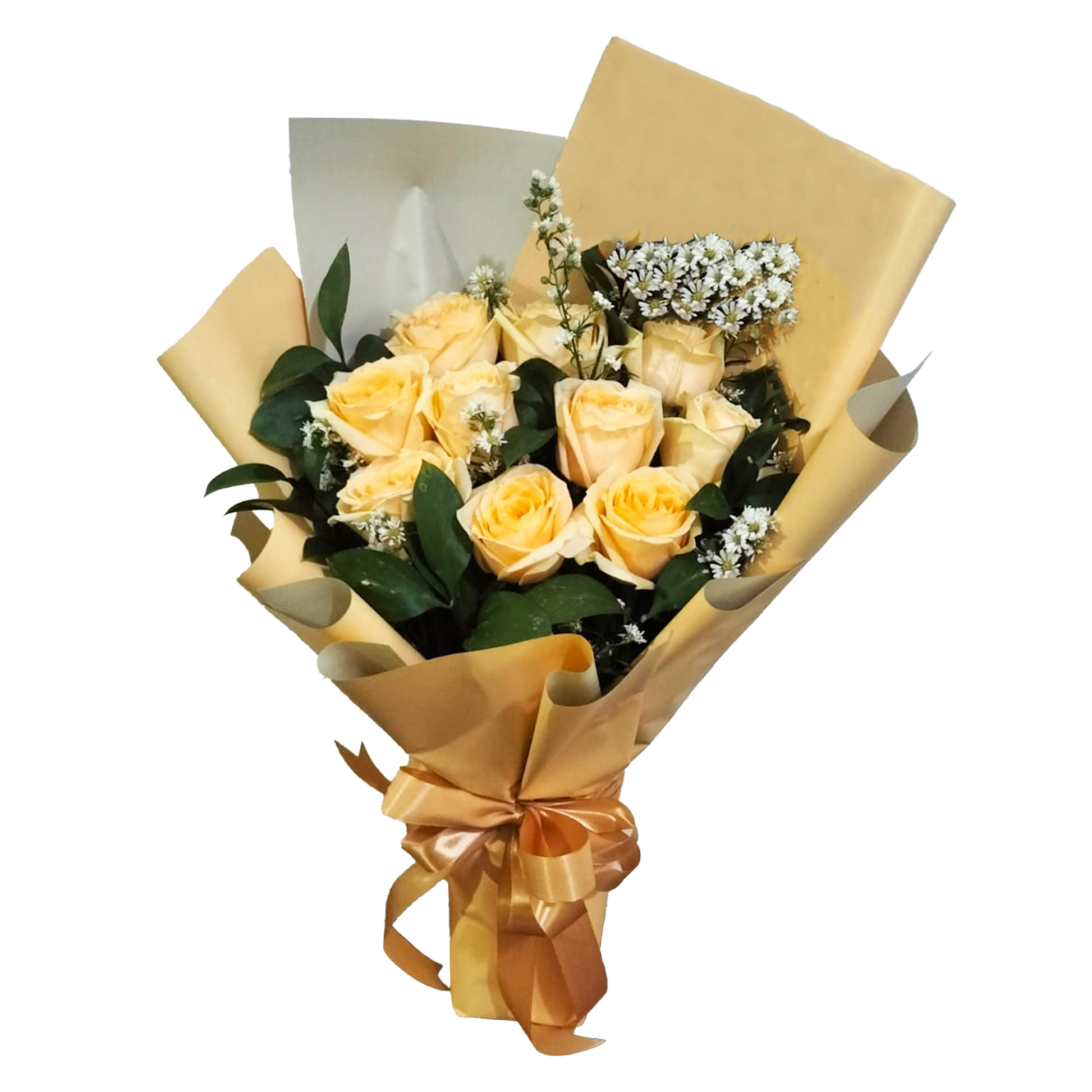 Rose, Fresh Flower, Graduation