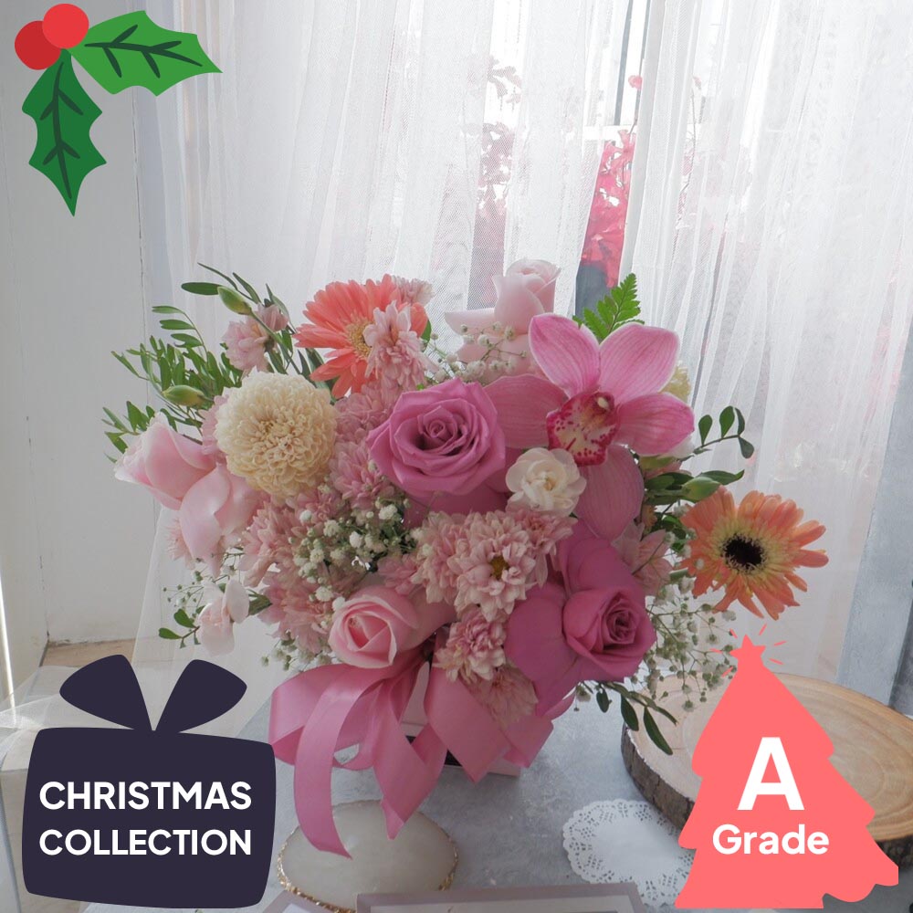 Christmas, Vase, Rose