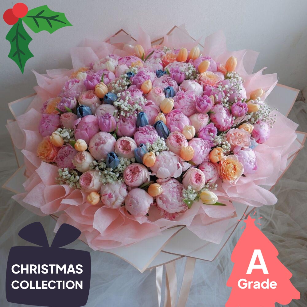 Christmas, Premium, Elegan