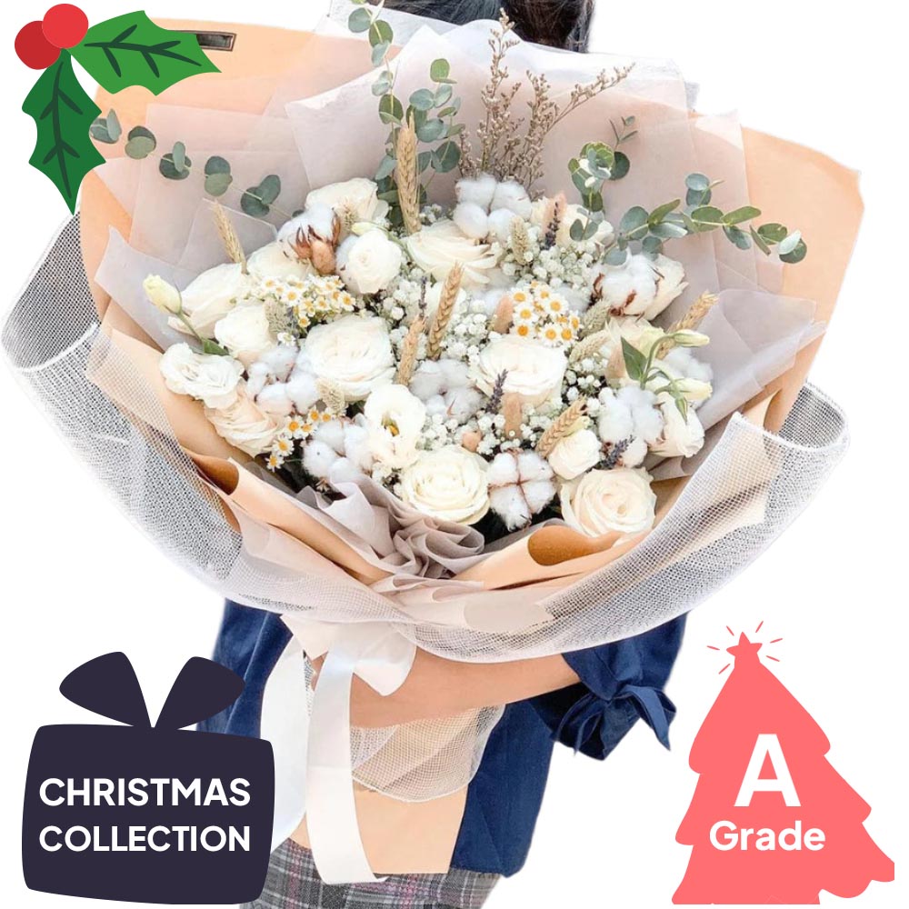 Christmas, Rose, Elegan