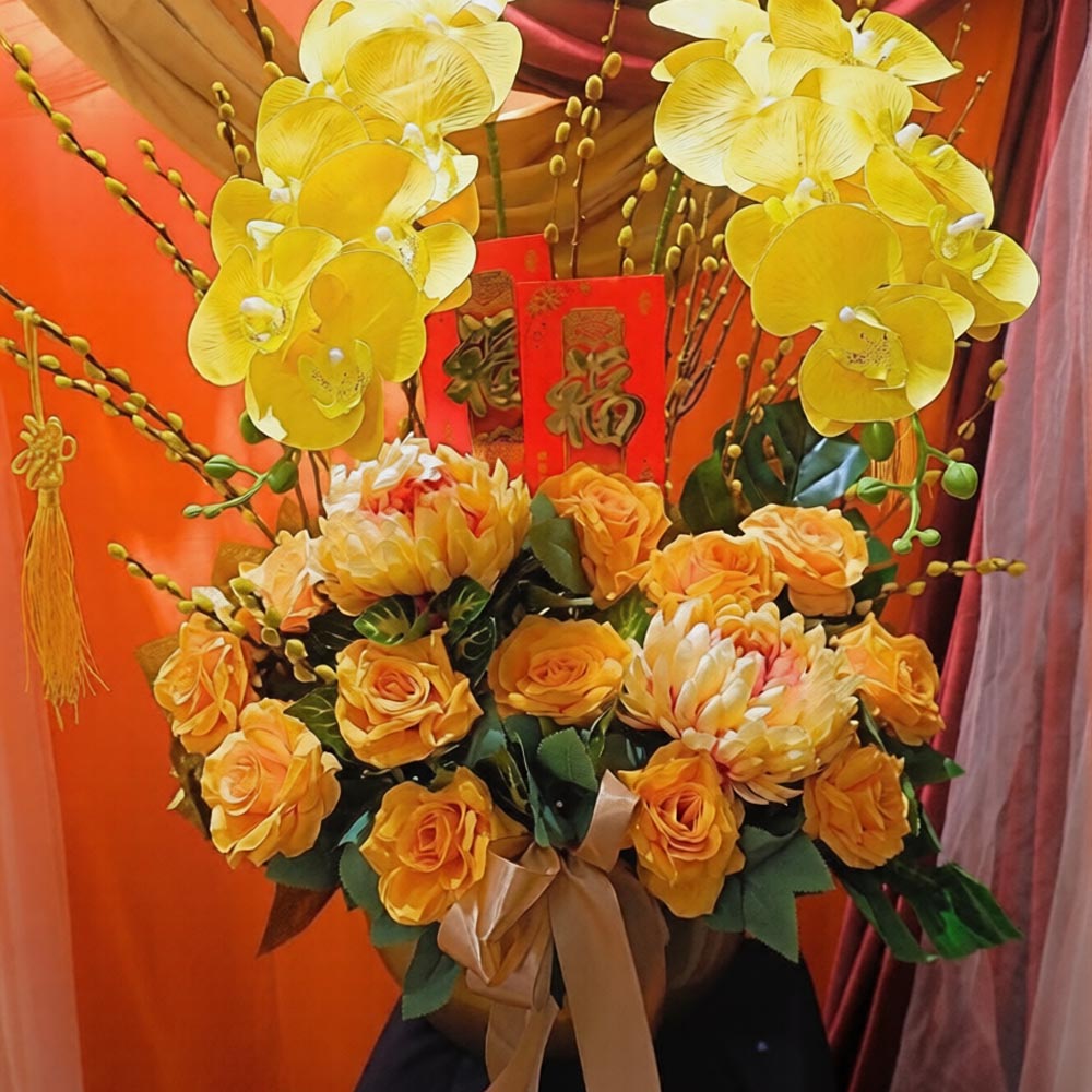 Orchid, Aster Peony Duchess, Premium