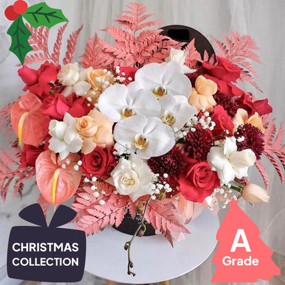 Christmas, Bloombox, Orchid