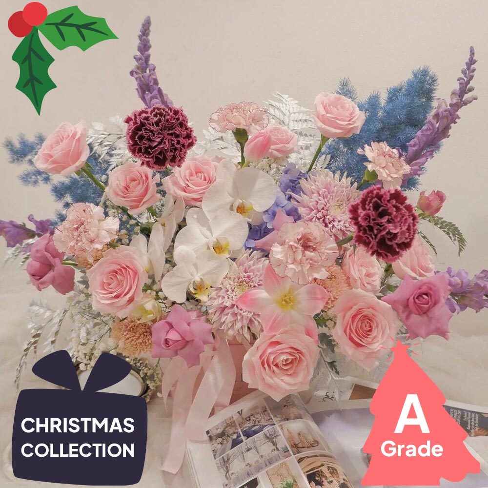 Christmas, Orchid, Bloombox