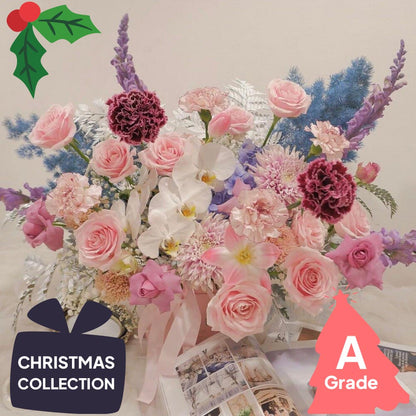 Christmas, Orchid, Bloombox