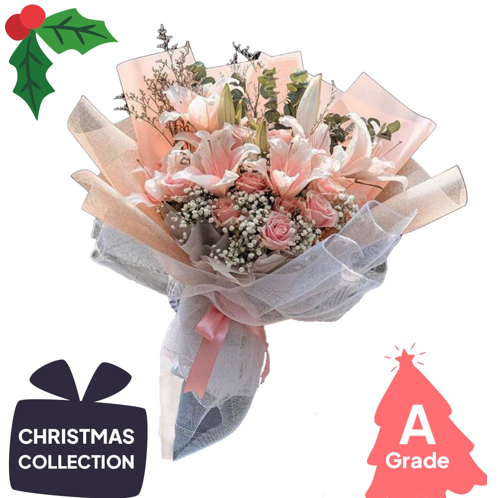 Christmas, Lily, Premium