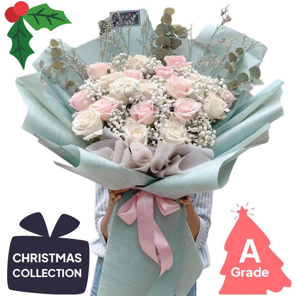 Christmas, Rose, Baby Breath