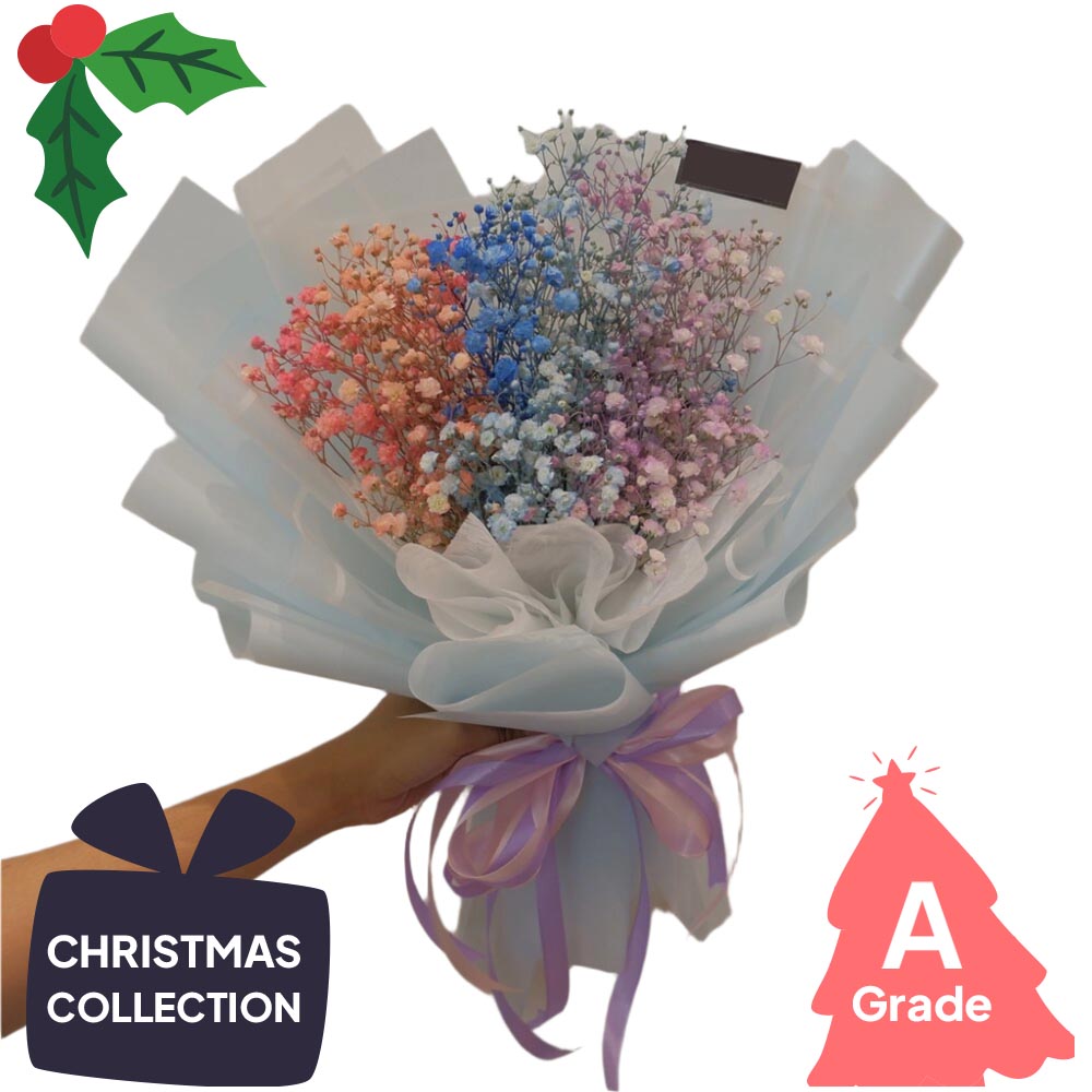 Christmas, baby Breath, Premium