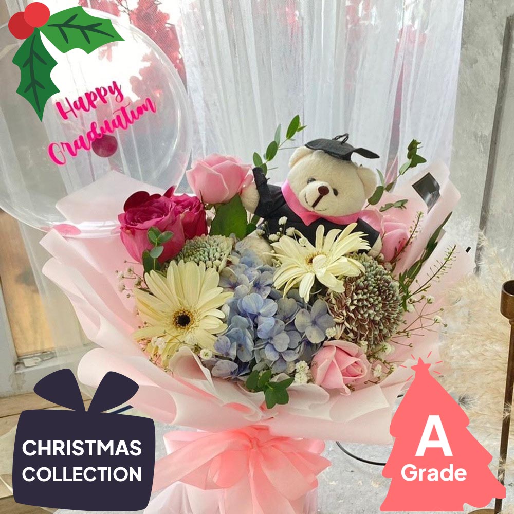 Christmas, Premium, Hydrangea