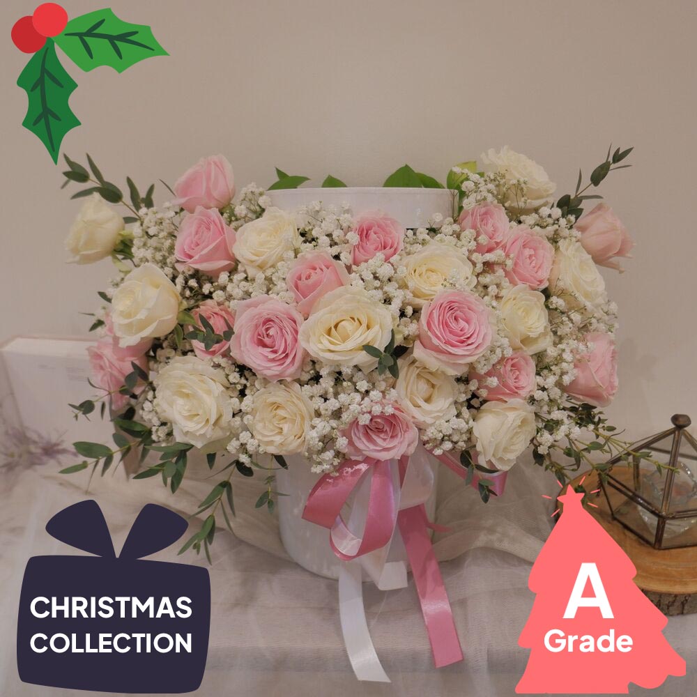 Christmas, Bloombox, Rose