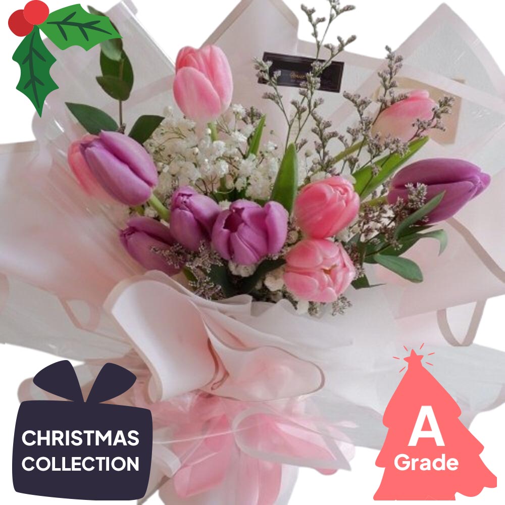 Christmas, Tulip, Baby Breath