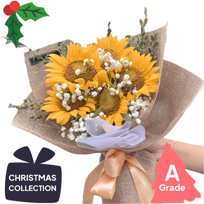 Christmas, Sun Flower, Premium