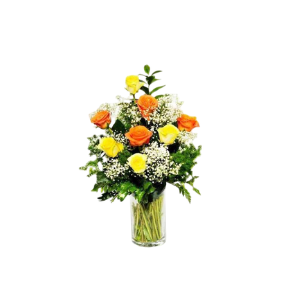 Vase, Premium, Elegan