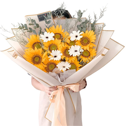 Sun Flower, Graduation, Fresh Flower