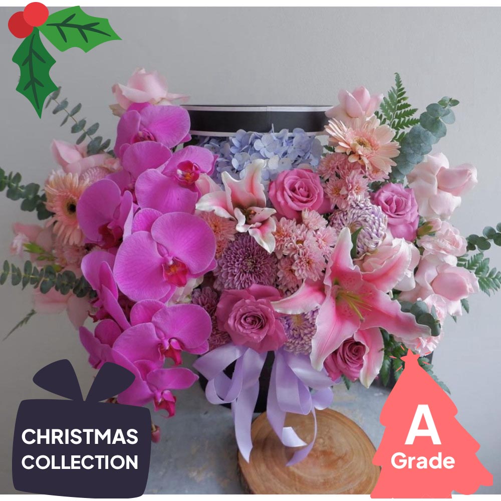 Christmas, Bloombox, Orchid