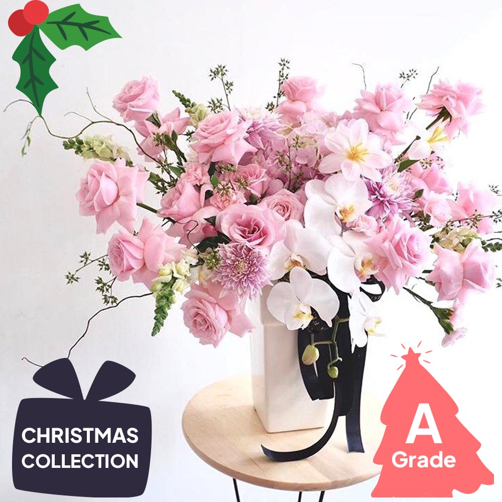 Christmas, Vase, Rose