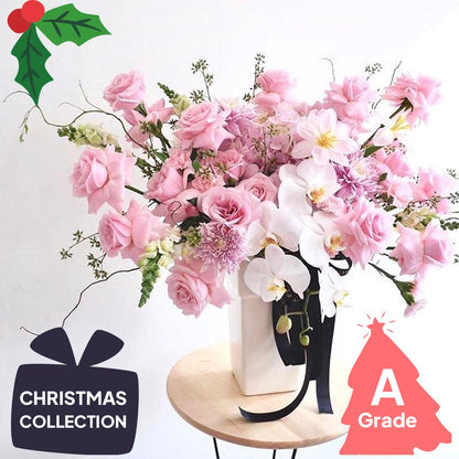 Christmas, Vase, Rose