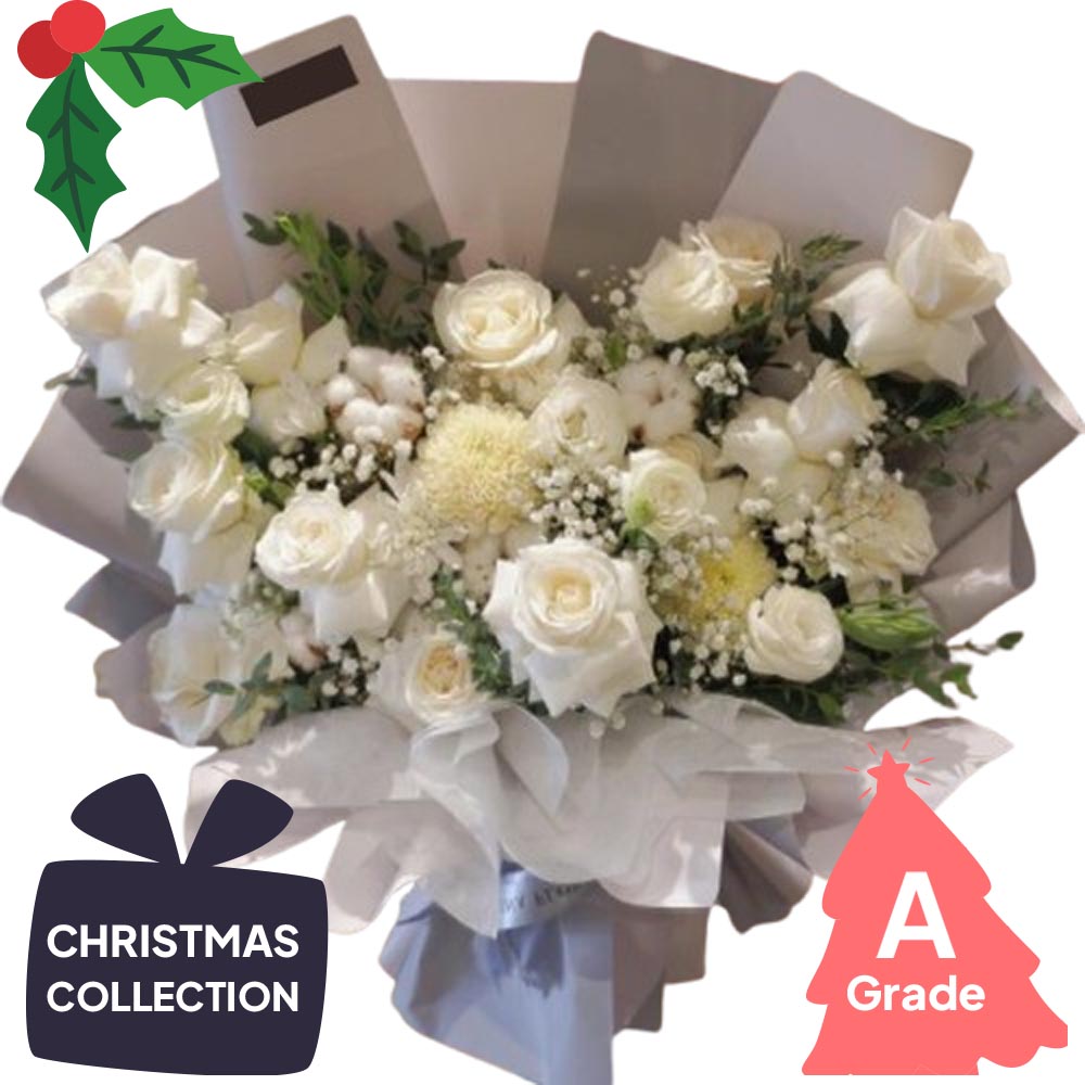 Christmas, Rose, Premium