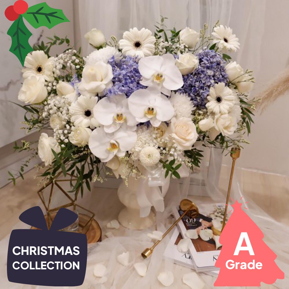 Christmas, Vase, Gerbera