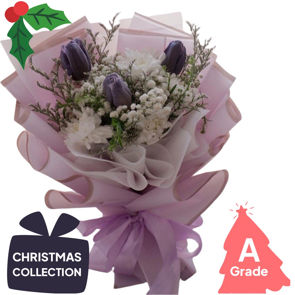 Christmas, Tulip, Premium