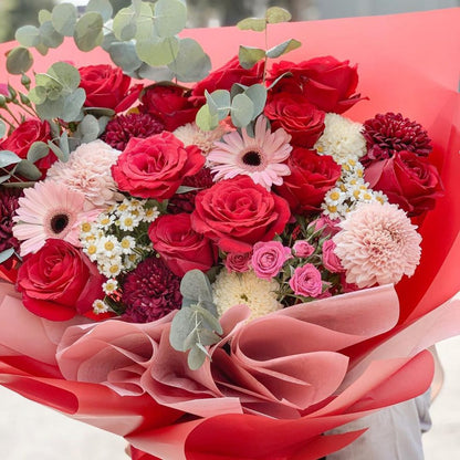 Garbera, Rose, Elegan