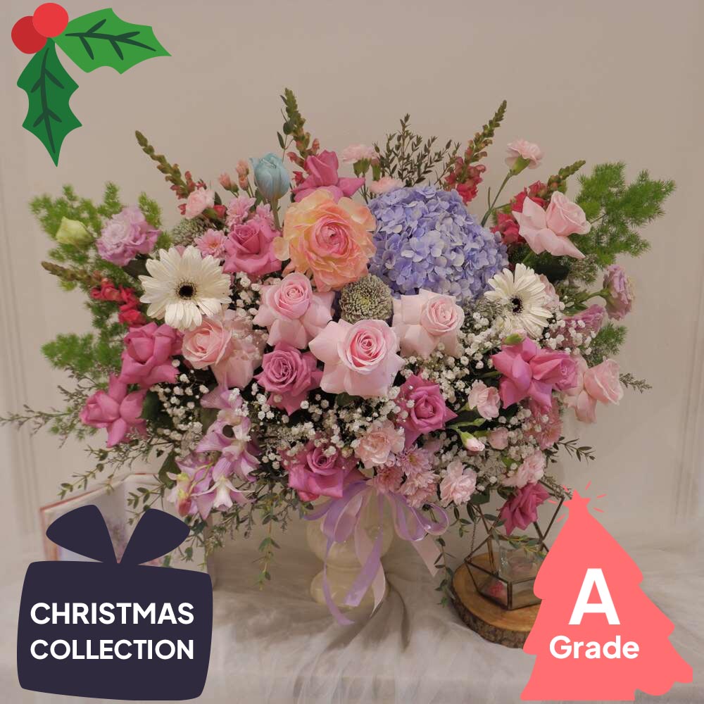 Christmas, Vase, Premium