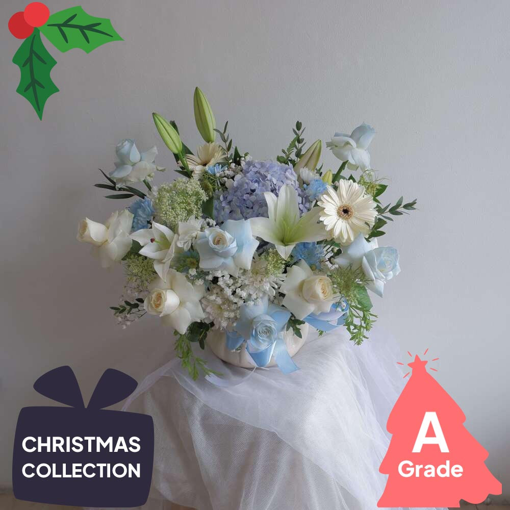 Christmas, Vase, Hydrangea