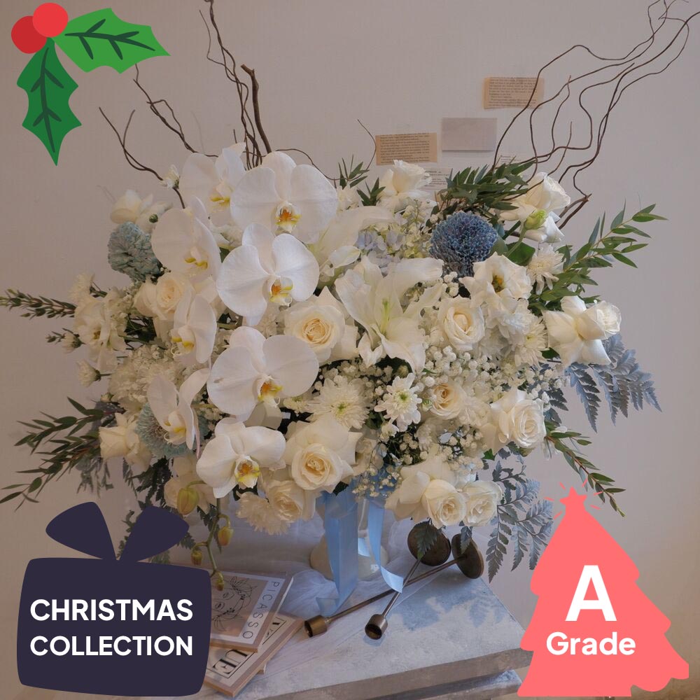 Christmas, Vase, Orchid