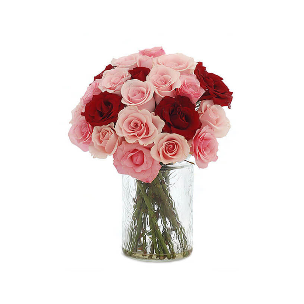 Rose, Vase, Premium