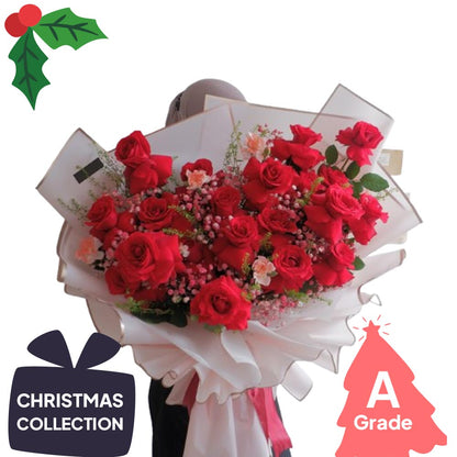 Christmas, Rose, Premium