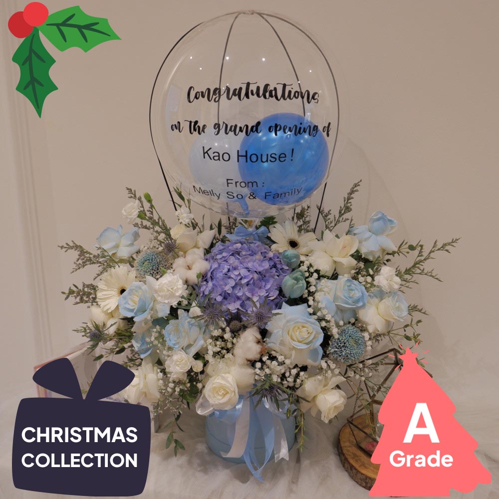 Christmas, Hot Air Bloombox, Elegan