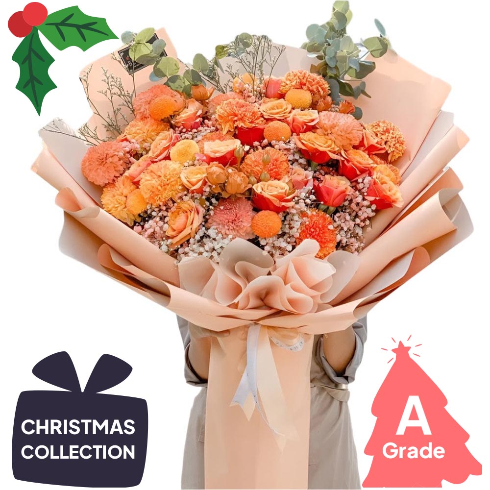 Christmas, Premium, Elegan