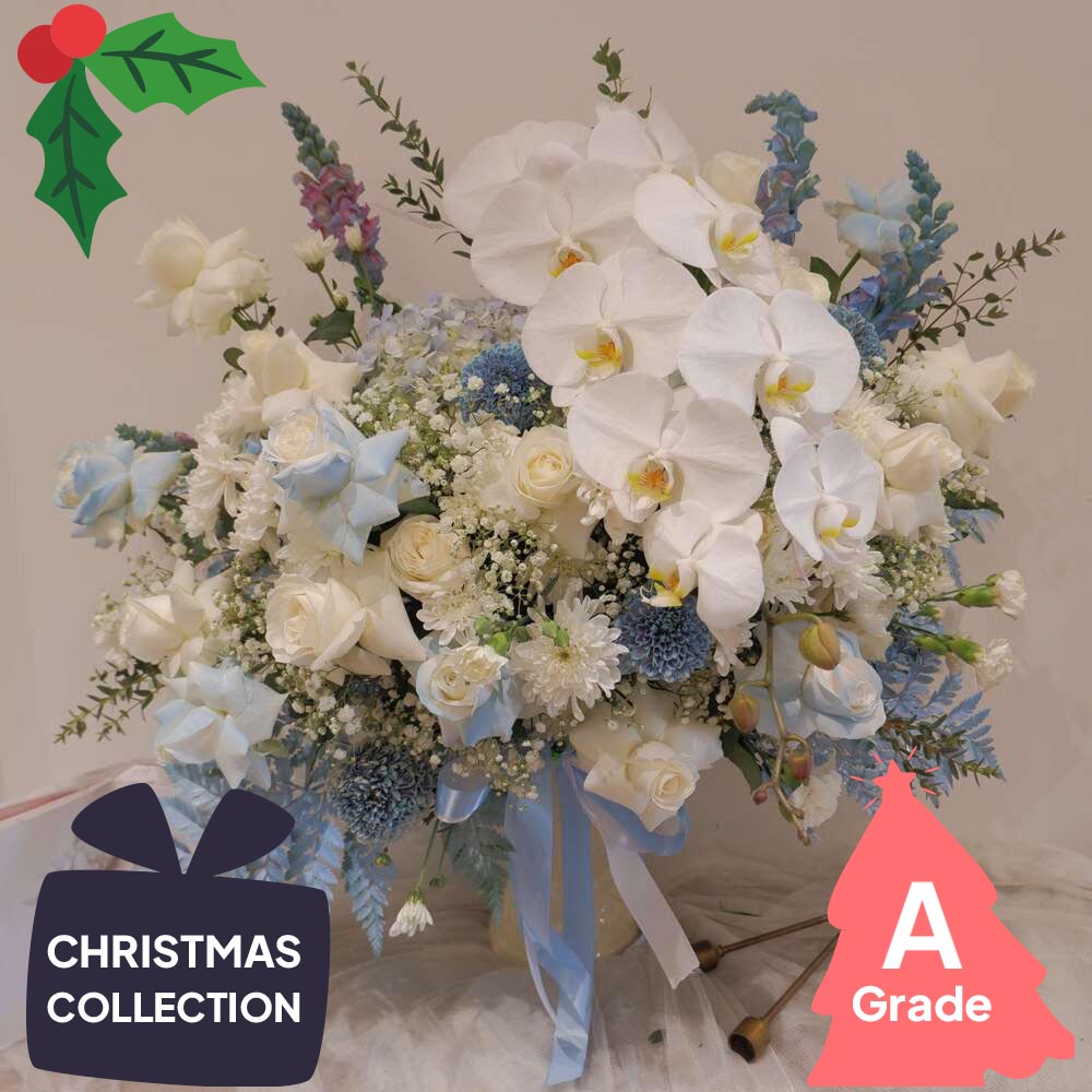 Christmas, Vase, Orchid