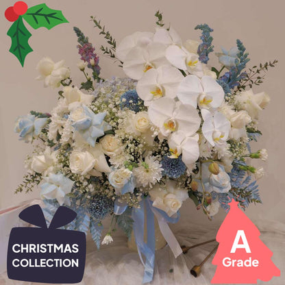 Christmas, Vase, Orchid