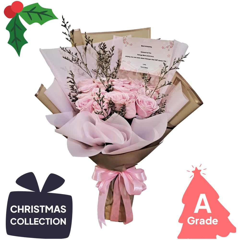 Christmas, Rose, Premium