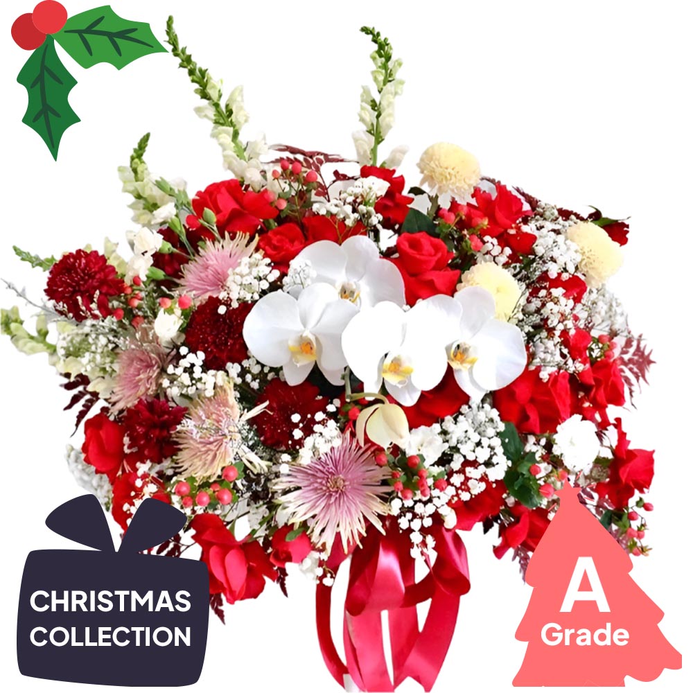 Christmas, Baby Breath, Orchid