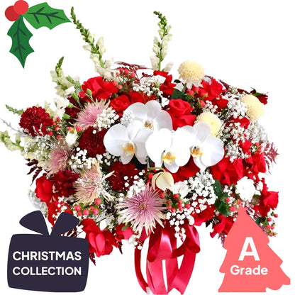 Christmas, Baby Breath, Orchid