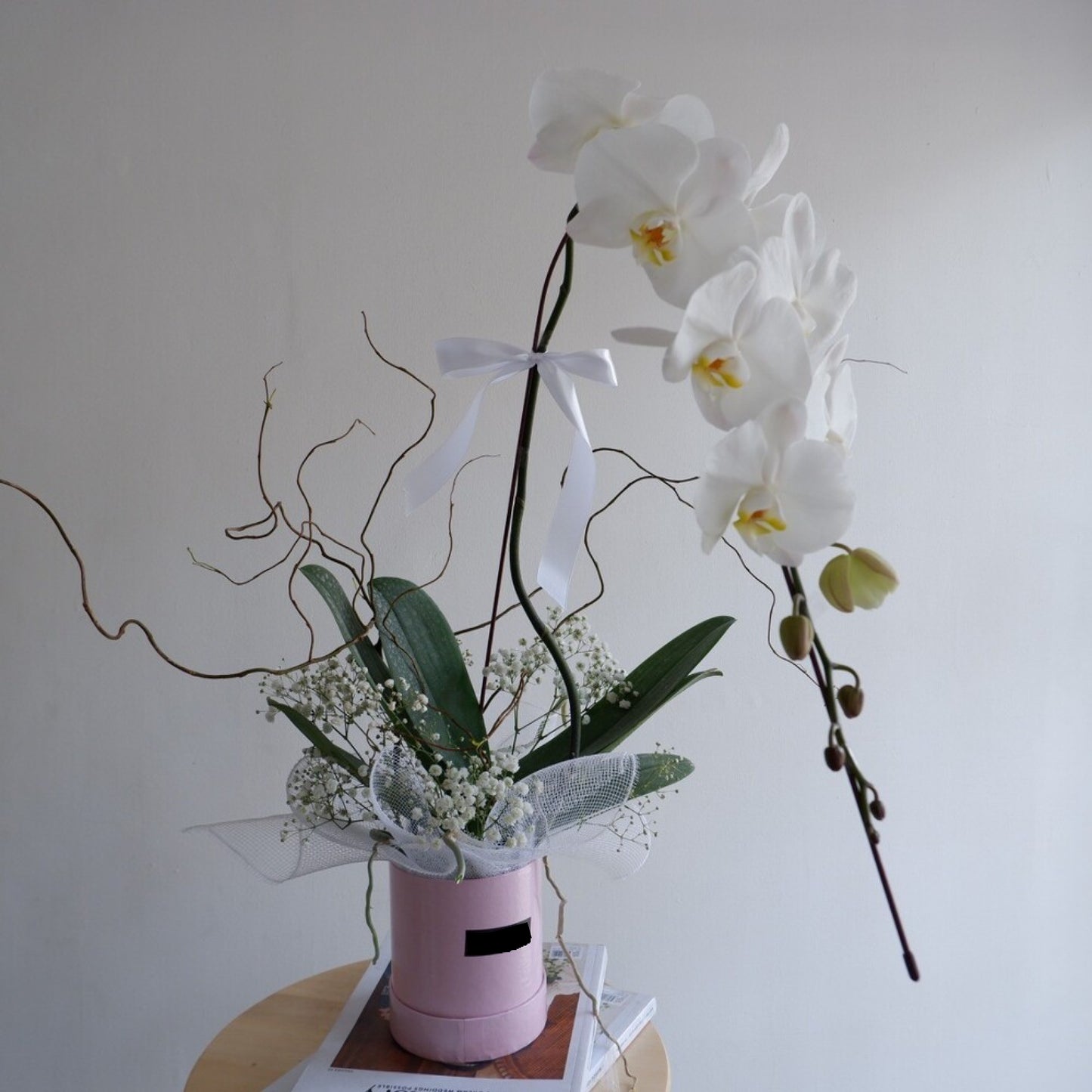 Orchid, Vase, Premium