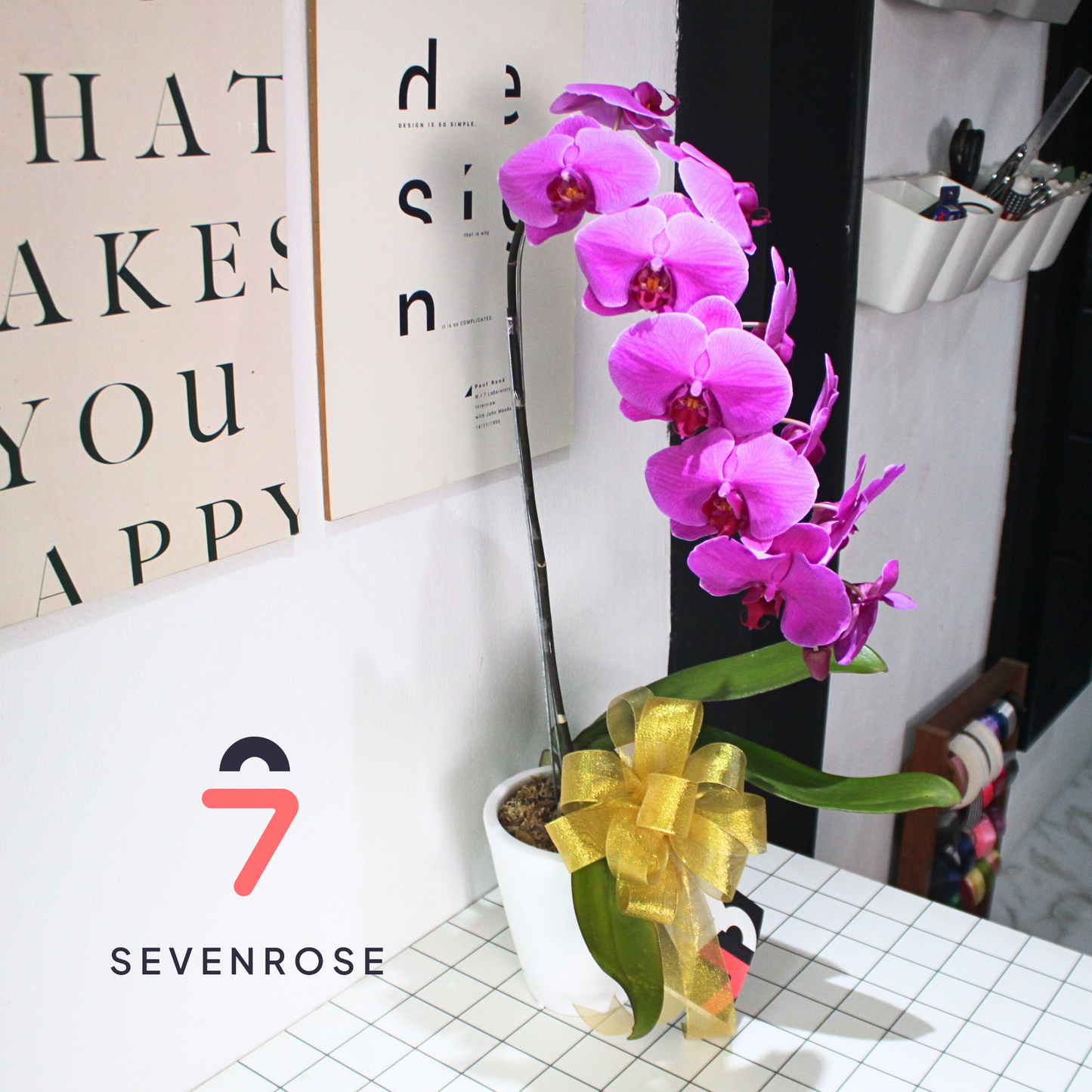 Vase, Orchid, Elegan