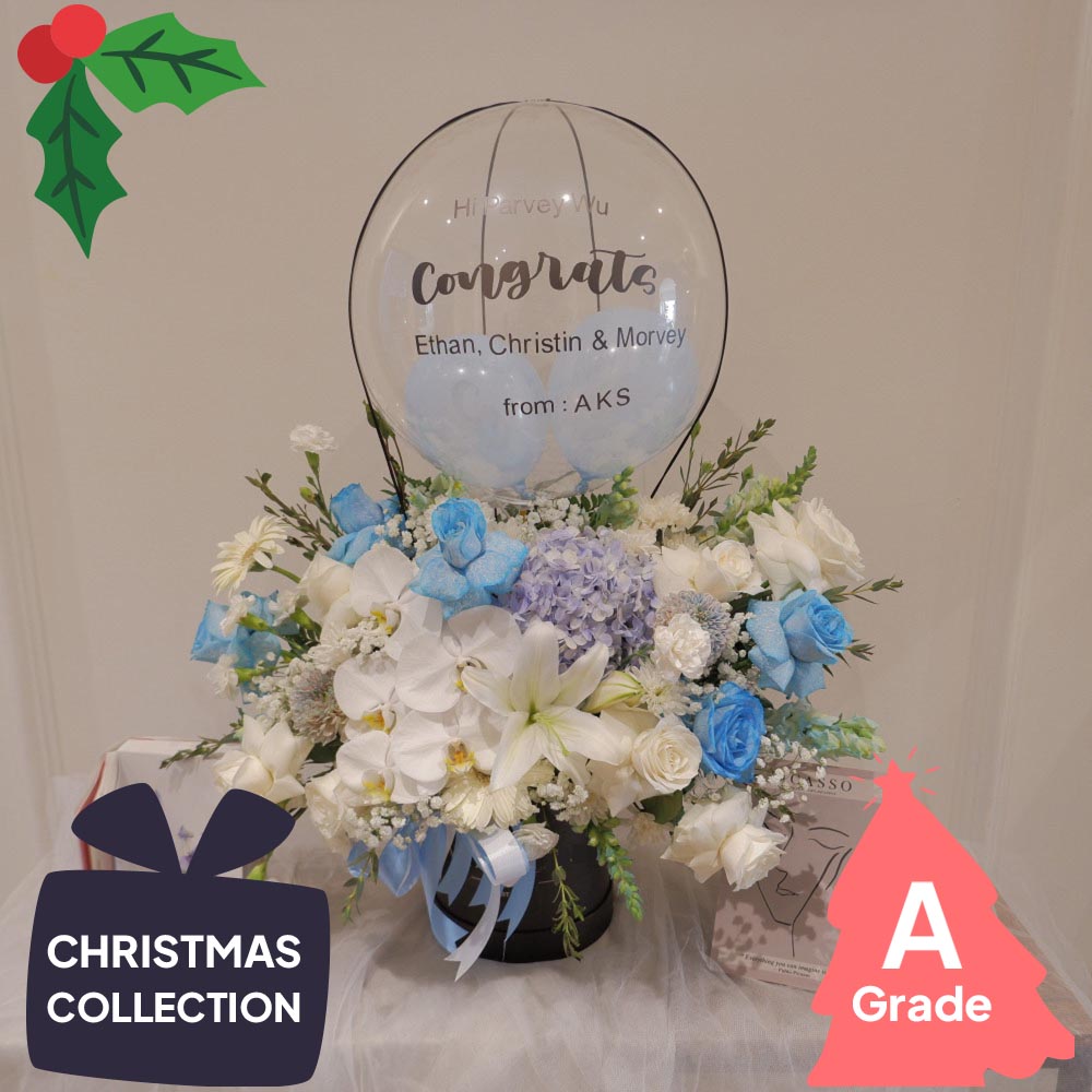 Christmas, Hot Air Bloombox, Premium