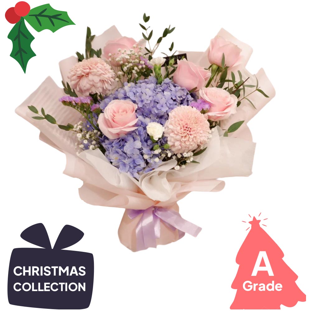 Christmas, Premium, Hydrangea