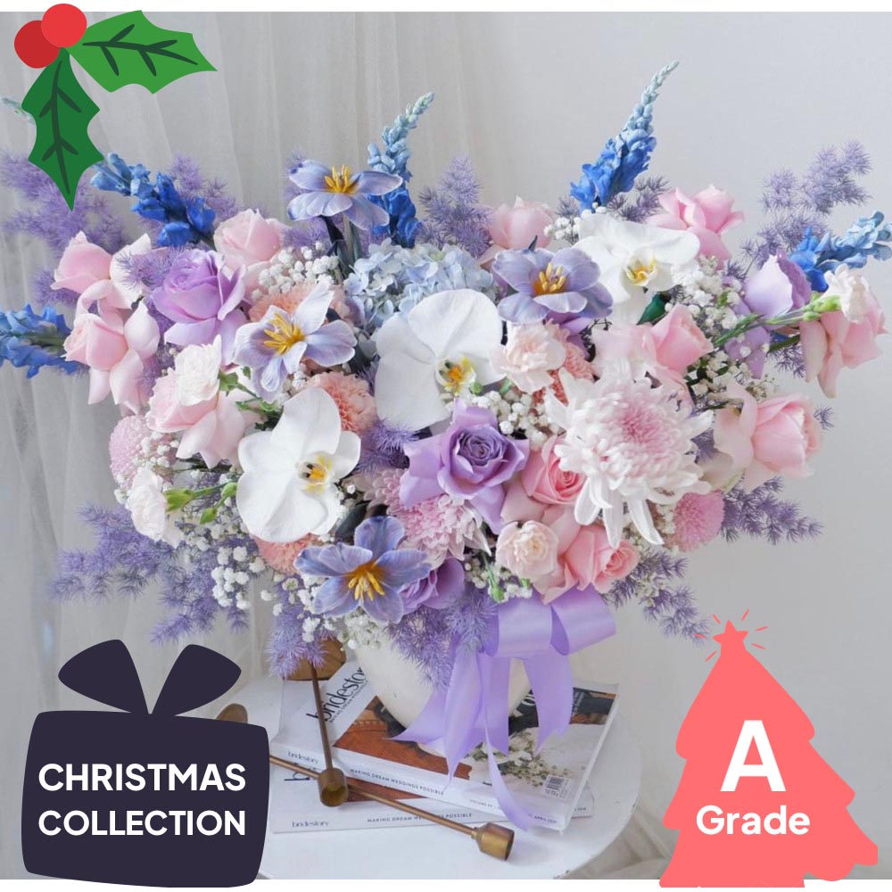 Christmas, Orchid, Premium