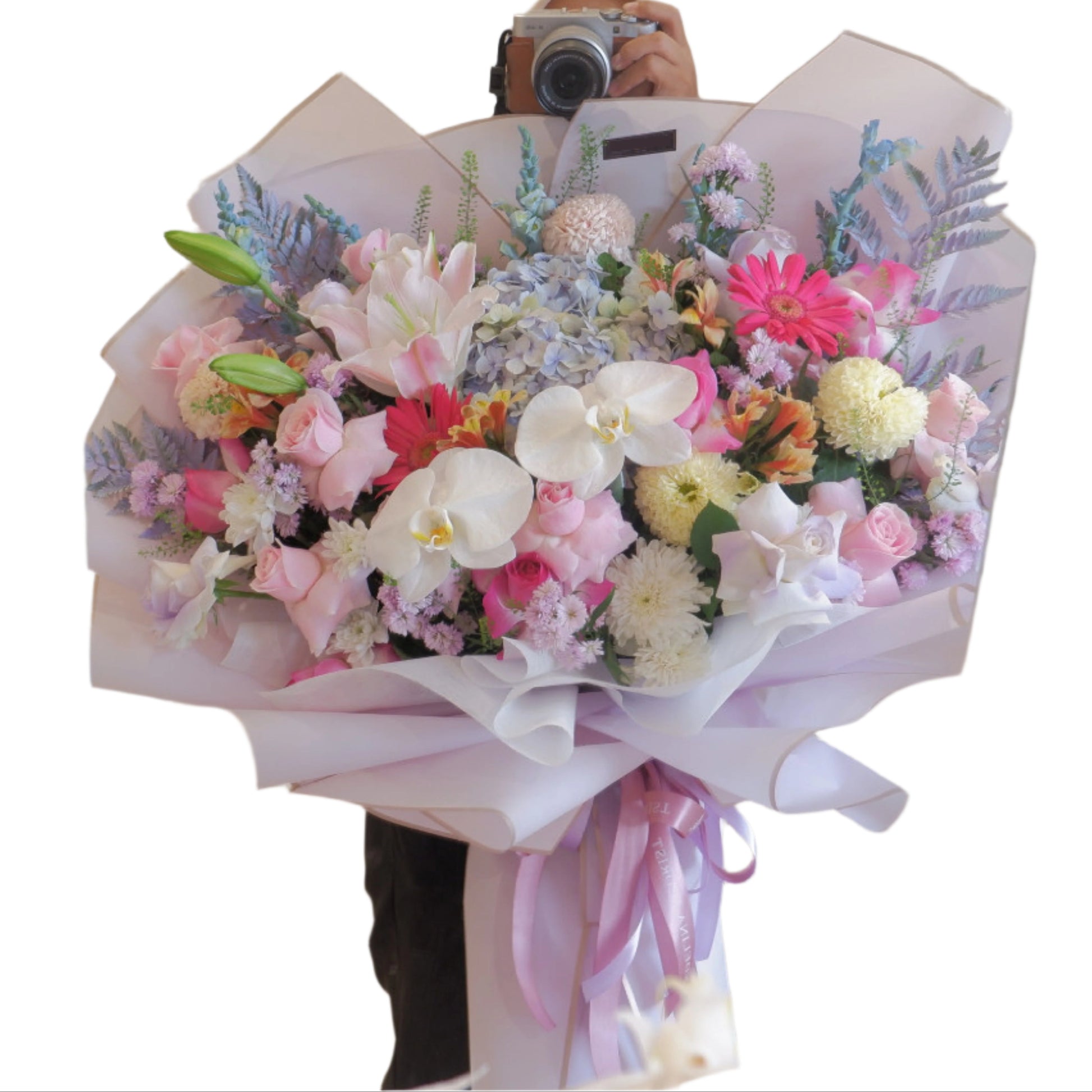 Lily, Fresh Flower, Graduation