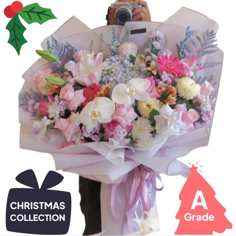 Christmas, Hydrangea, Lily