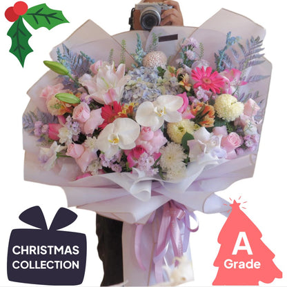 Christmas, Hydrangea, Lily