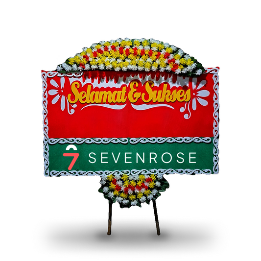 Surfane Mix4 - Level 6-8 - AXA