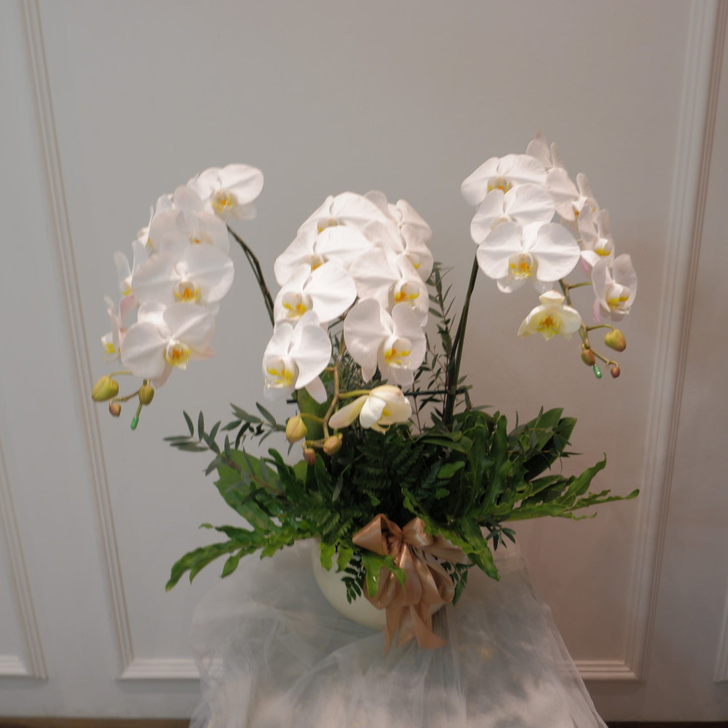 Triplet Orchid