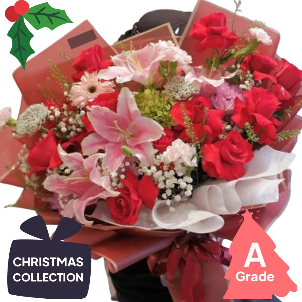 Christmas, Lily, Rose