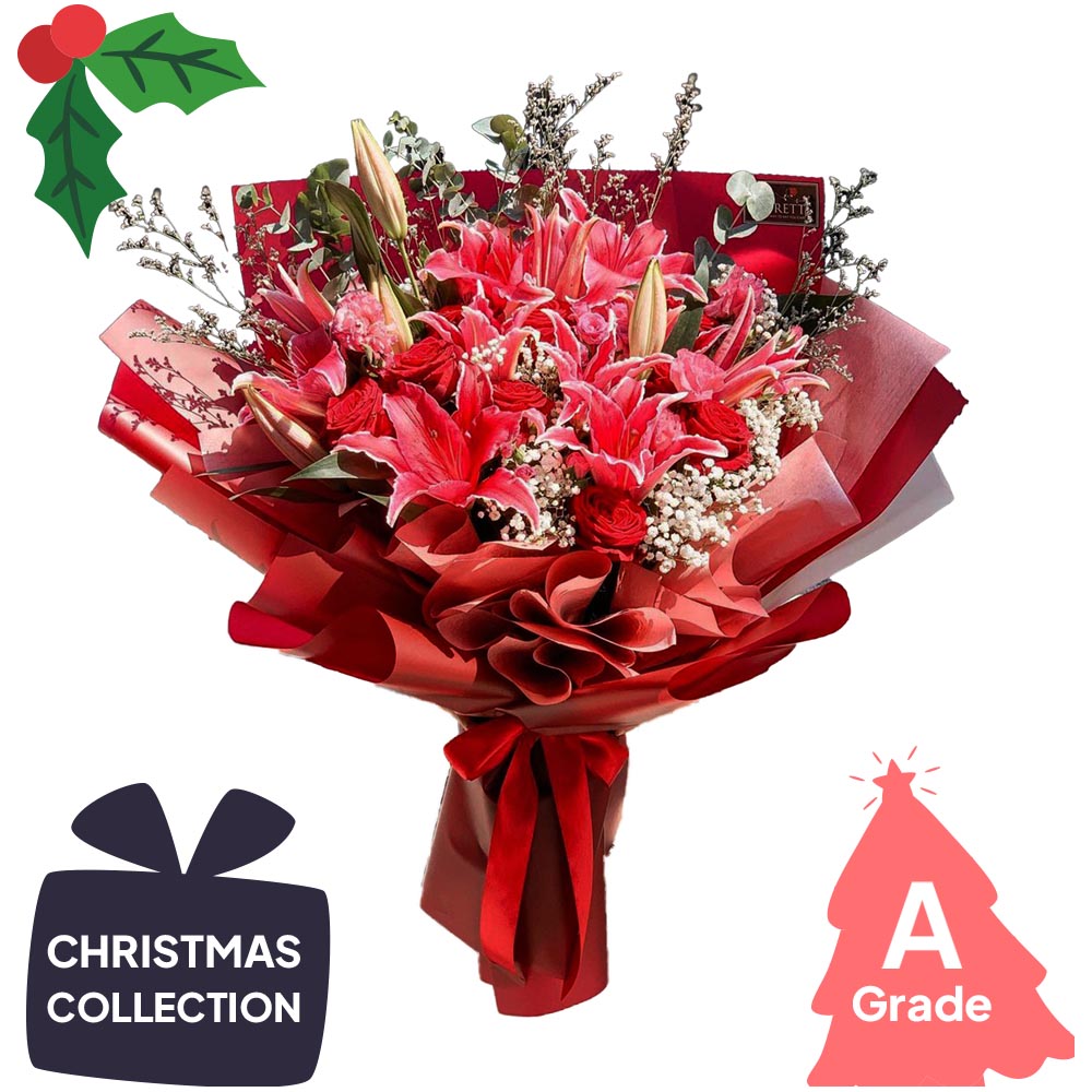 Christmas, Lily, Premium