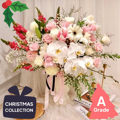 Christmas, Vase, Orchid