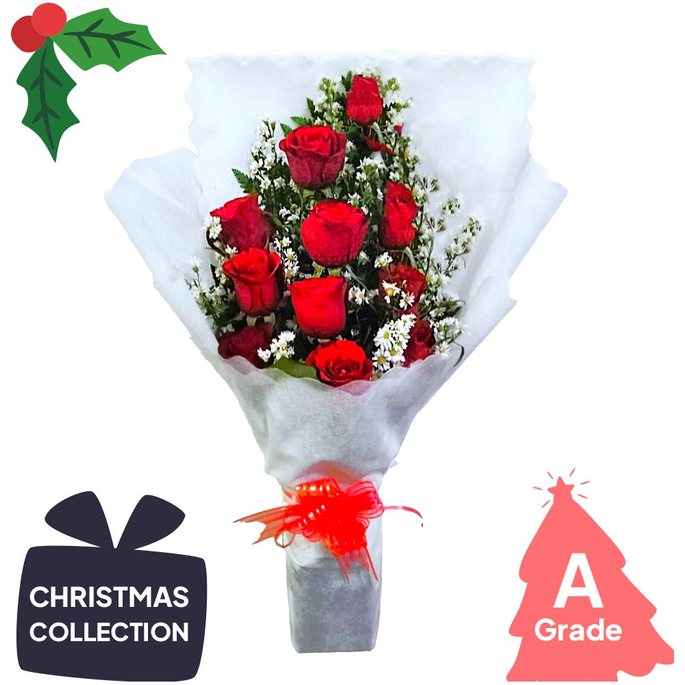 Christmas, Elegan, Rose